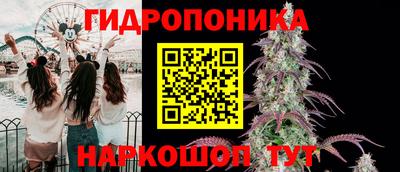 стаф Краснокаменск